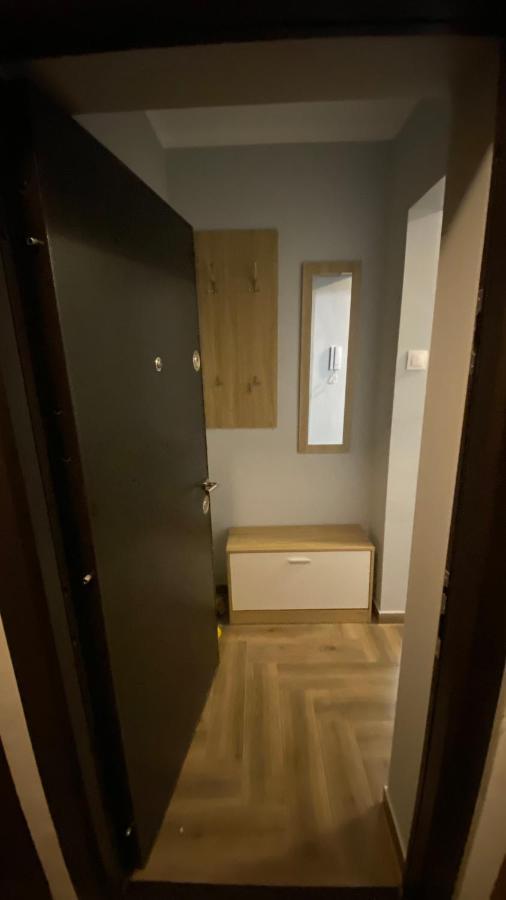 Dacia Apartment Timisoara Exterior photo