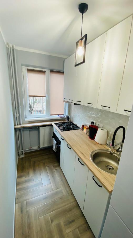 Dacia Apartment Timisoara Exterior photo