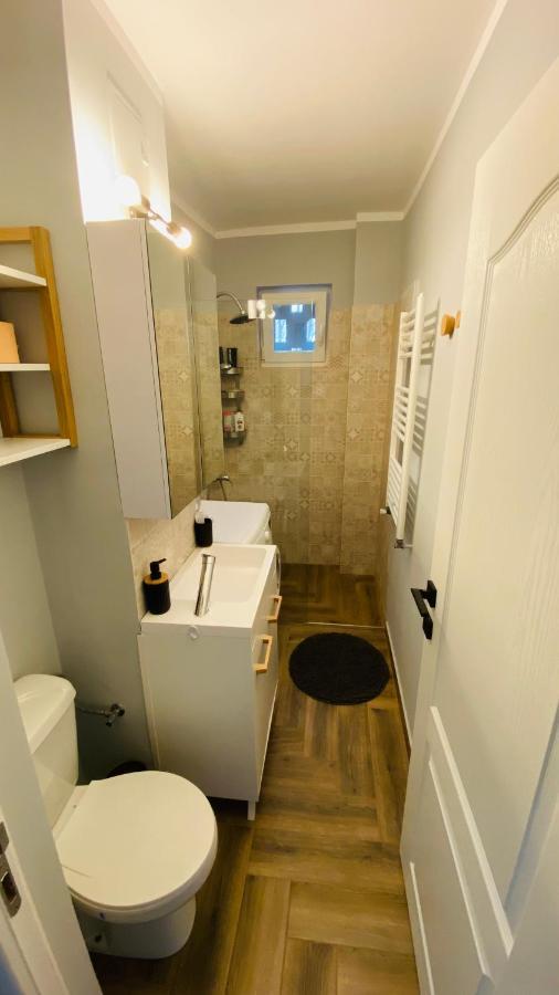 Dacia Apartment Timisoara Exterior photo