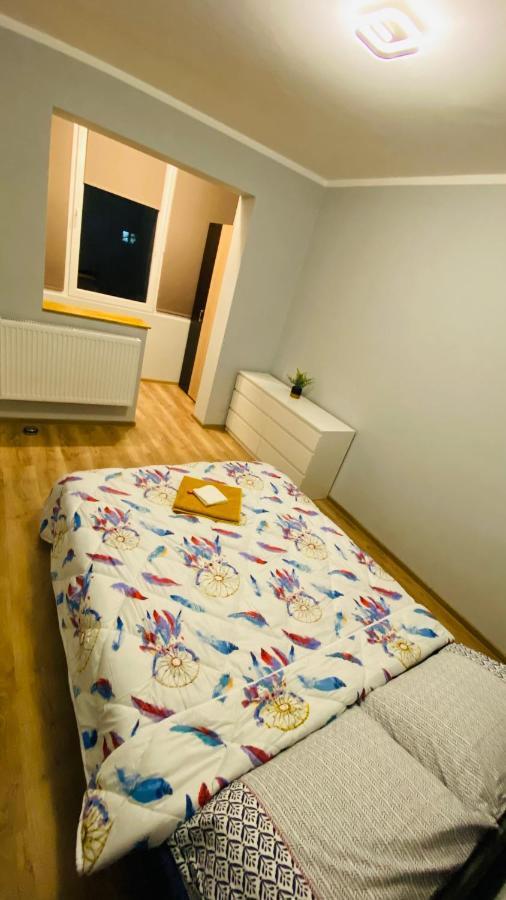 Dacia Apartment Timisoara Exterior photo
